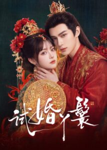 مسلسل خادمة المحاكمة The Trial Handmaiden الحلقة 8 مترجمة