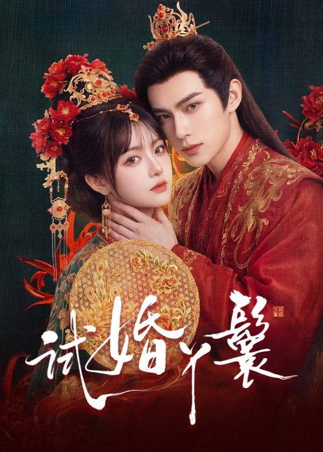 مسلسل خادمة المحاكمة The Trial Handmaiden الحلقة 1 مترجمة